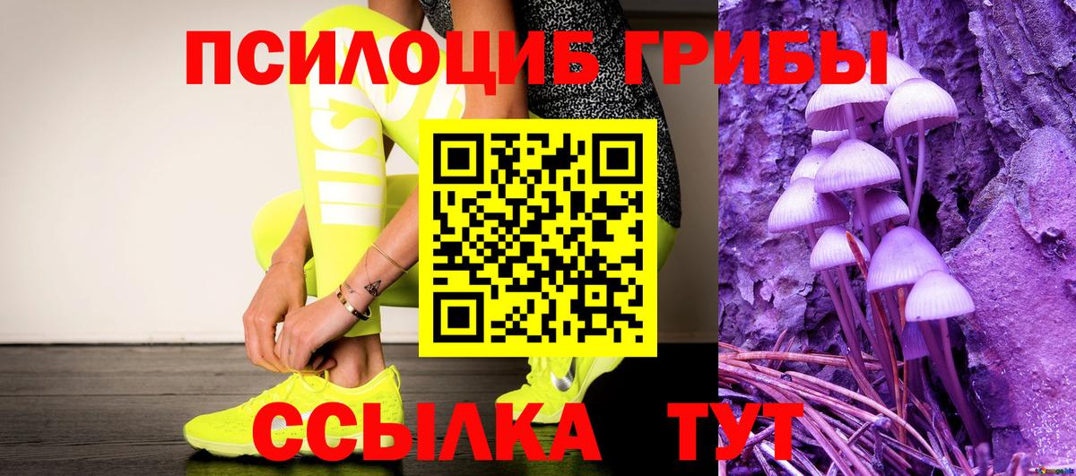 где купить наркоту  Псилоцибиновые грибы мухоморы  Вход с VPN  Усть-Лабинск 