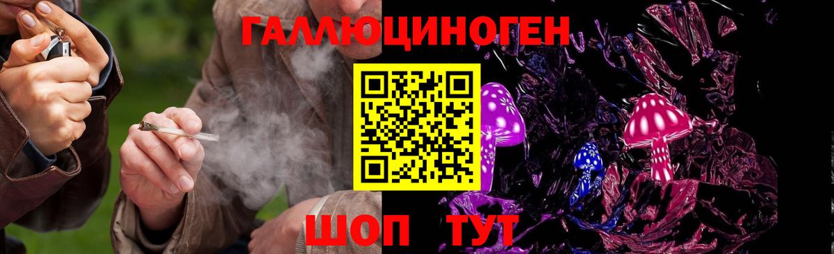 Галлюциногенные грибы Cubensis Усть-Лабинск